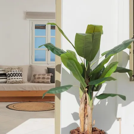 Evdokia - Luxury Olive Yard With Aegean View 乡村民宿 *